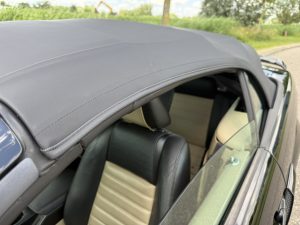 2007 Mustang GT California Special Covertible (5)