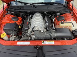 IMG_4850